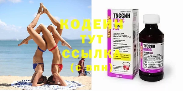 дурь Каменка