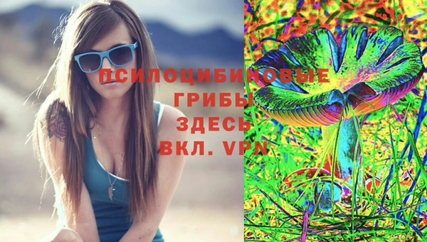дурь Каменка