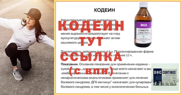 дурь Каменка