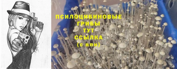 трава Каменногорск