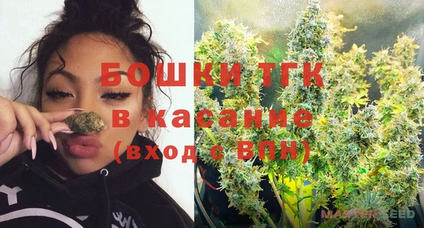 дурь Каменка