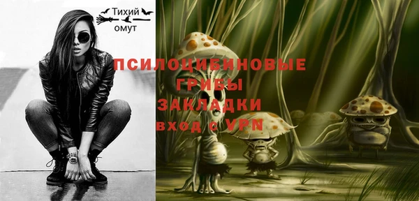 дурь Каменка